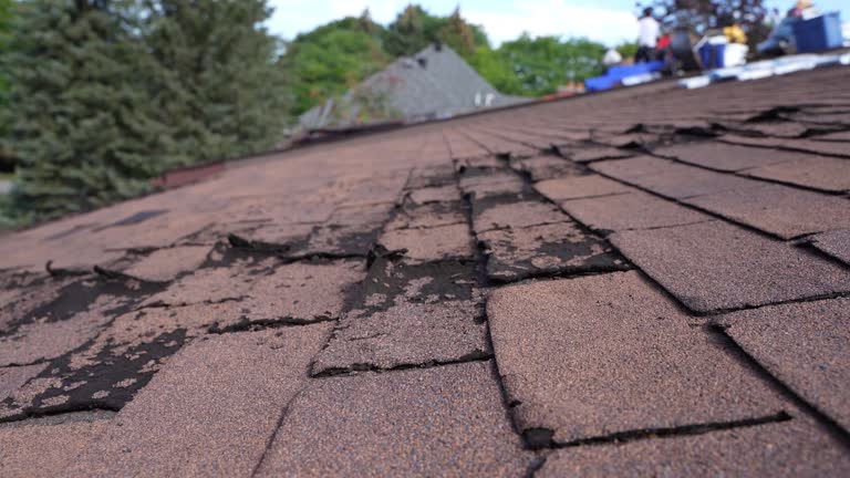 Best Cold Roofs  in Edmonton, KY