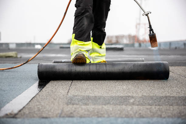 Best Rubber Roofing (EPDM, TPO)  in Edmonton, KY